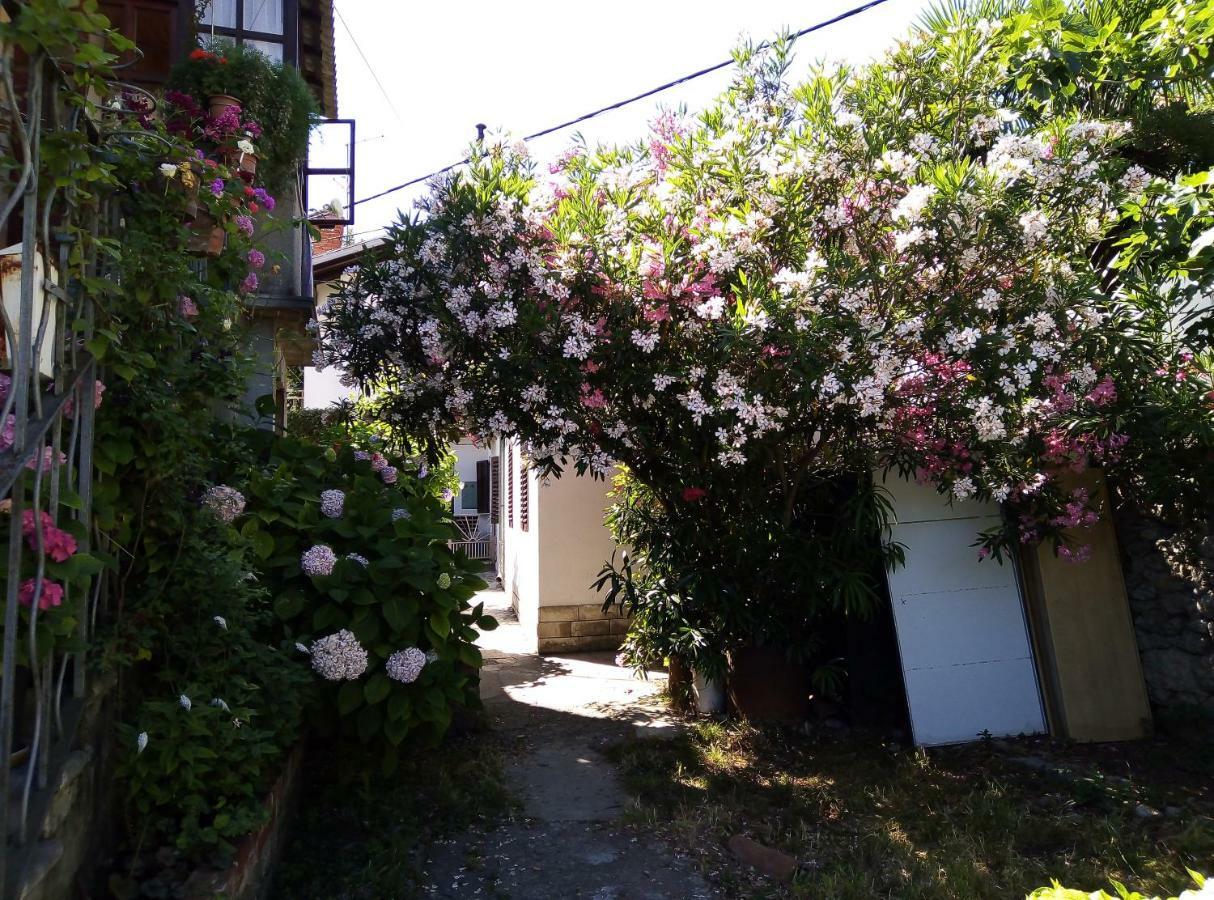 Apartments Placovici Volosko Zewnętrze zdjęcie